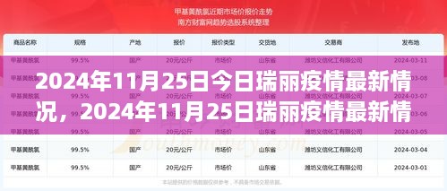 2024年11月25日瑞丽疫情最新情况及防疫指南详解