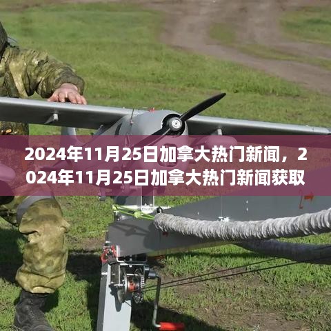 2024年11月25日加拿大热门新闻概览，从初学者的第一步到进阶者的进阶指南