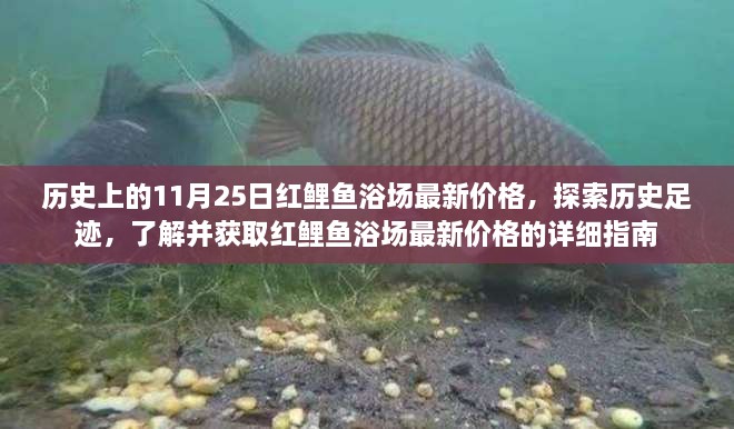 历史上的红鲤鱼浴场最新价格，探索历史足迹的详细指南