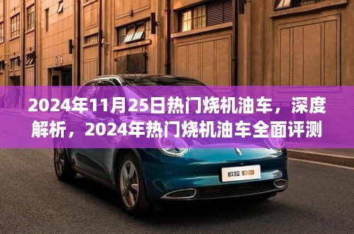 2024年11月25日热门烧机油车，深度解析，2024年热门烧机油车全面评测