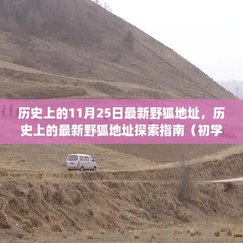 历史上的野狐地址探索指南，从初学者到进阶用户的探索之旅