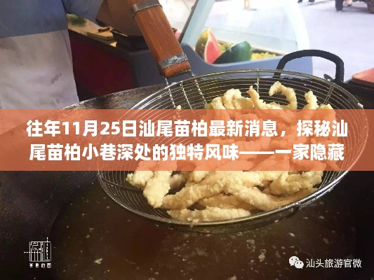 探秘汕尾苗柏小巷深处的独特美食宝藏——最新消息揭秘！