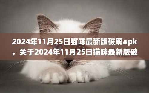 关于猫咪最新版破解apk的探讨与观点阐述，是非曲直之间（附破解版下载链接）