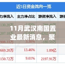 揭秘武汉南国置业最新动态，聚焦十一月最新消息