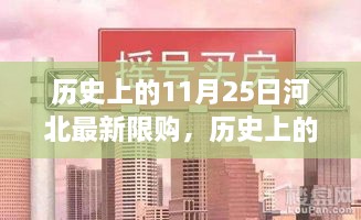 河北楼市限购政策深度解读，历史上的11月25日回顾与解读