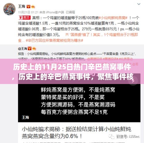 辛巴燕窝事件揭秘，聚焦历史影响与事件核心