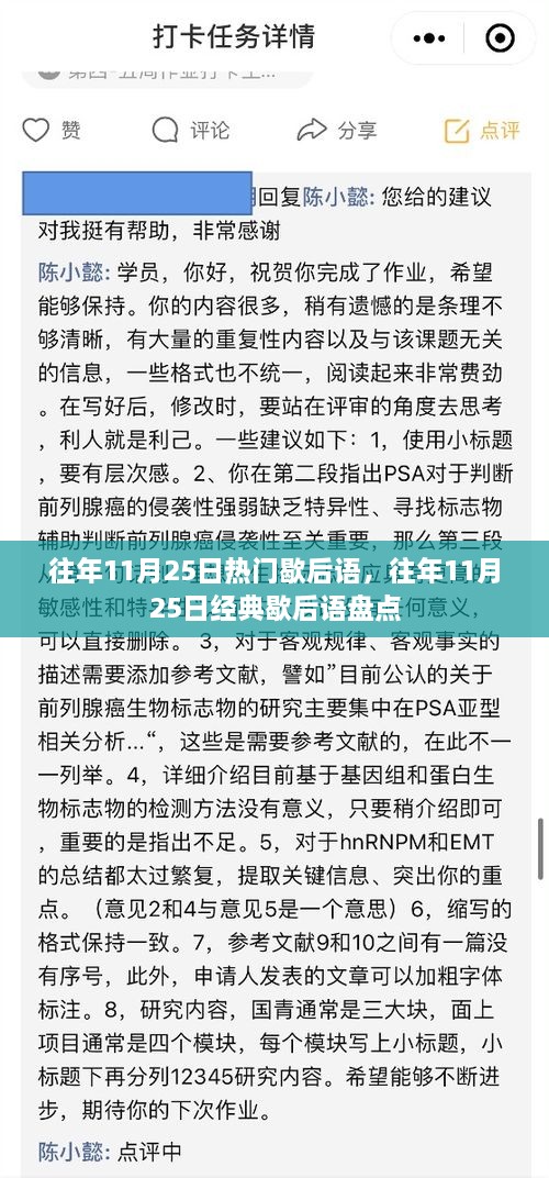 往年11月25日歇后语盘点，经典语句回顾与热门俗语一览