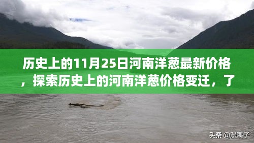 历史上的河南洋葱价格变迁，探索过去，预测未来走势的指南