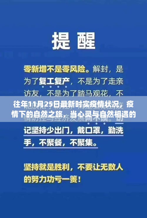 疫情下的自然之旅，心灵与自然的奇妙相遇之时——最新实时疫情状况分析