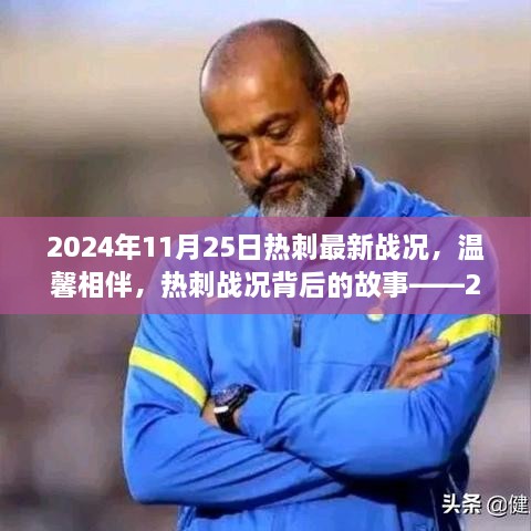 热刺战况背后的故事，温馨相伴的2024年11月25日阳光午后