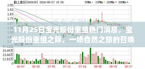 宝光股份重组之际的心灵之旅，自然召唤与寻找心灵净土