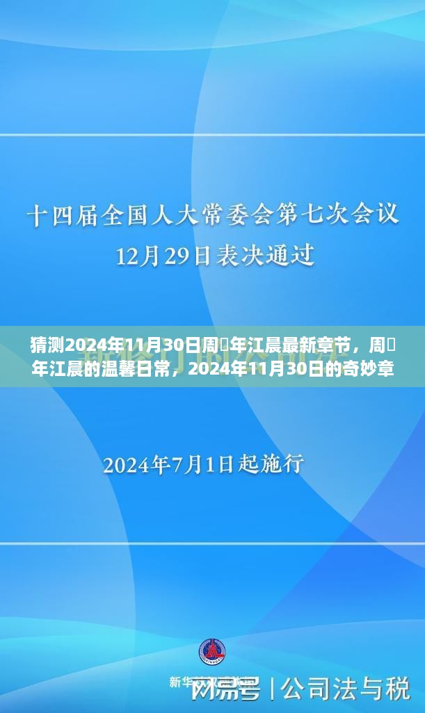 揭秘周璟年与江晨的温馨日常，2024年11月30日奇妙章节预测与揭秘