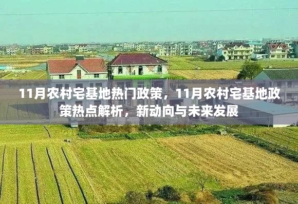 11月农村宅基地热门政策，11月农村宅基地政策热点解析，新动向与未来发展