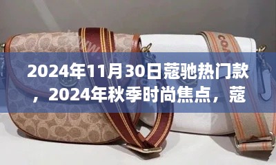 深度解析，蔻驰热门款手袋成为2024年秋季时尚焦点