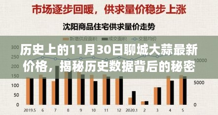 揭秘聊城大蒜历史价格背后的秘密，最新价格查询与解读指南（初学者与进阶用户必读）