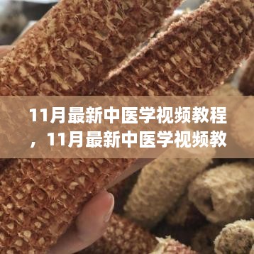 深度探讨，最新中医学视频教程的价值与影响解析