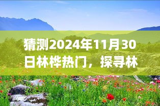 揭秘林桦秘境，探寻自然美景的心灵之旅，预测2024年11月30日的奇遇之旅