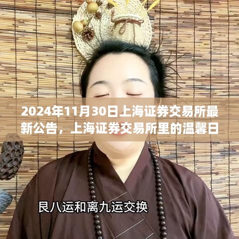 上海证券交易所温馨日常，不期而遇的友情故事在2024年11月30日的公告中揭晓