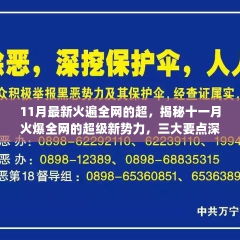 揭秘十一月全网超火新势力，三大要点深度解析，掀起热潮！