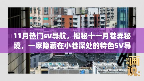 揭秘十一月巷弄深处的特色SV导航热门小店，隐秘而诱人的秘密