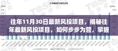 揭秘往年风投项目研究技能，步步为营掌握最新风投项目动态与策略解析