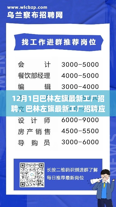 巴林左旗工厂招聘应聘全流程指南，从入门到成功入职（12月最新）