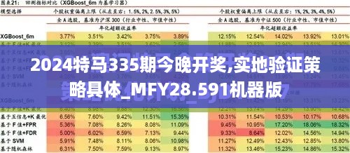 2024特马335期今晚开奖,实地验证策略具体_MFY28.591机器版