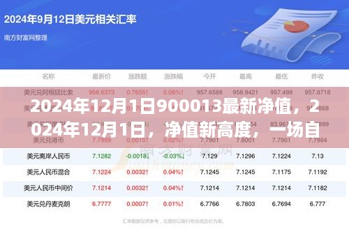 2024年12月1日净值新高，自然美景的心灵之旅