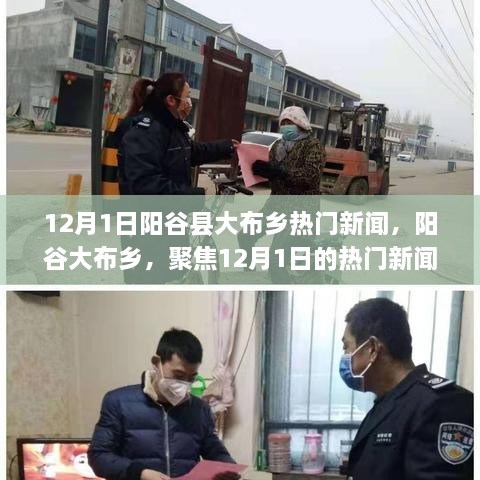 阳谷大布乡12月1日热门新闻聚焦