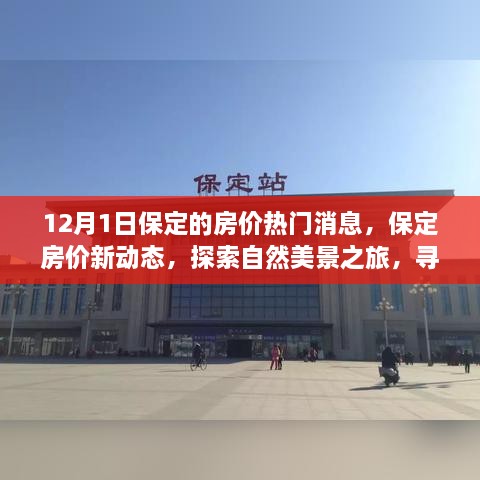 12月保定房价动态及自然美景探索之旅，内心的平和与宁静的追求