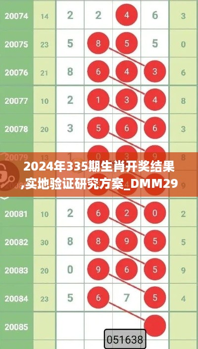 2024年335期生肖开奖结果,实地验证研究方案_DMM29.130Tablet