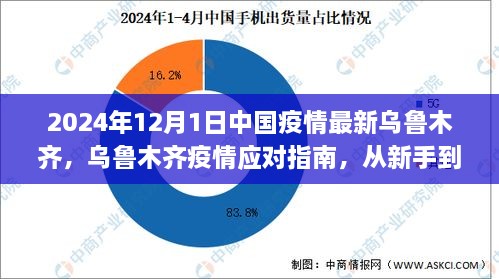 乌鲁木齐疫情应对指南，从新手到进阶，掌握防疫技能，最新疫情动态（截至2024年）