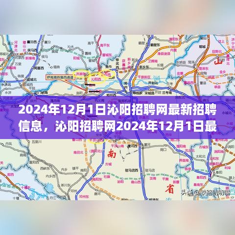 沁阳招聘网最新招聘信息概览，时代脉搏与职业新声（2024年12月）