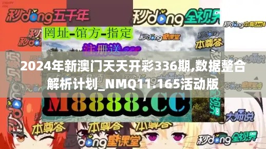 2024年新澳门天天开彩336期,数据整合解析计划_NMQ11.165活动版