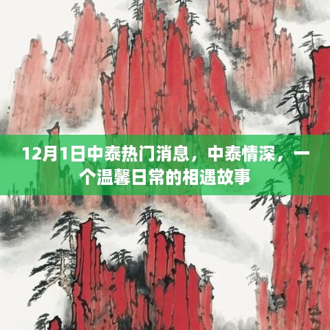 中泰情深，温馨日常的相遇故事在12月1日揭晓