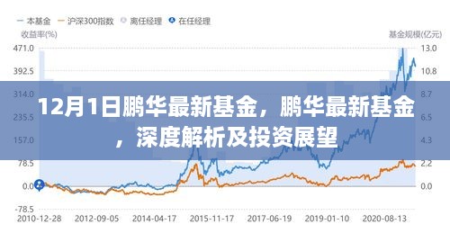 鹏华最新基金深度解析与投资展望，12月1日全新解读