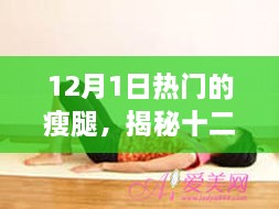 12月1日热门的瘦腿，揭秘十二月热门瘦腿方法，科学、有效、轻松塑造完美腿部线条