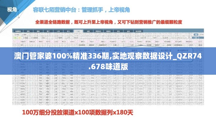 澳门管家婆100%精准336期,实地观察数据设计_QZR74.678味道版