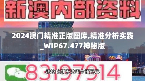 2024澳门精准正版图库,精准分析实践_WIP67.477神秘版