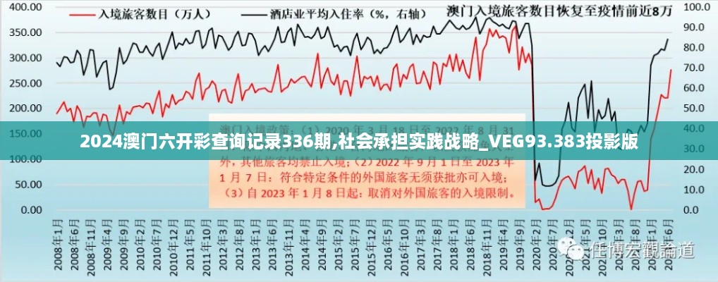 2024澳门六开彩查询记录336期,社会承担实践战略_VEG93.383投影版