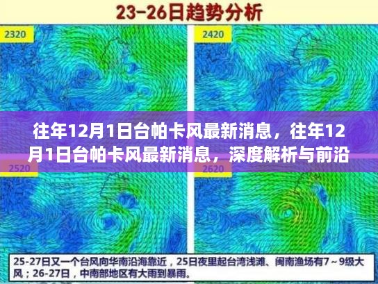 往年12月1日台湾帕卡风最新动态，深度解析与前沿预测