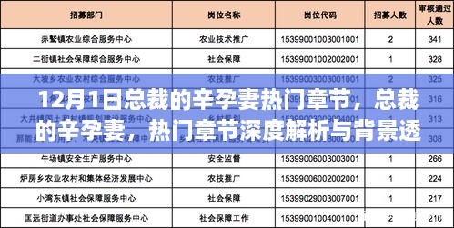 总裁的辛孕妻，热门章节深度解析与背景透视