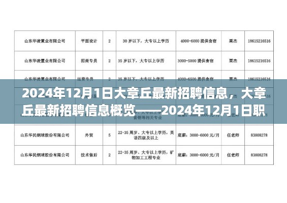 大章丘最新招聘信息概览，职场动态2024年12月1日