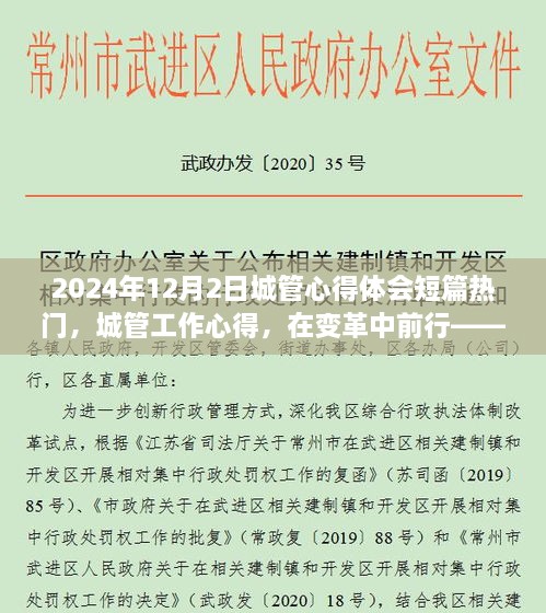 变革中的城管之路，我的工作心得与体验之旅（以2024年为例）