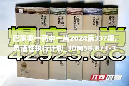 管家婆一码中一肖2024第337期,灵活性执行计划_3DM58.873-3