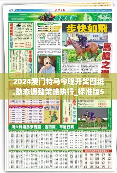 2024澳门特马今晚开奖图纸,动态调整策略执行_标准版53.170-5