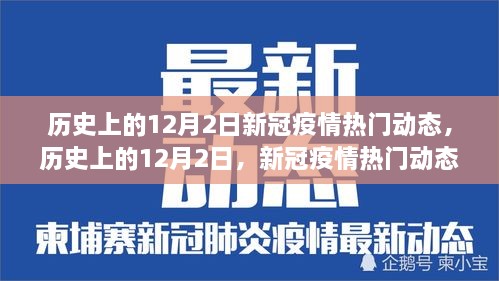 深度解析，历史上的新冠疫情动态回顾——聚焦十二月二日