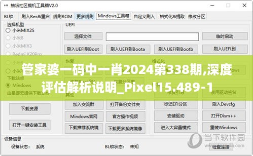 管家婆一码中一肖2024第338期,深度评估解析说明_Pixel15.489-1