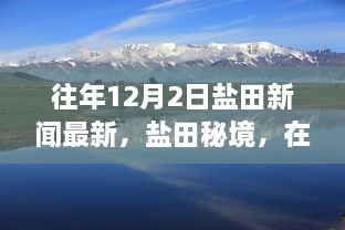 盐田秘境，探寻自然之旅中的宁静港湾——盐田新闻最新报道