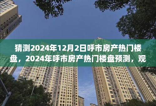 呼市房产热门楼盘预测，深度分析与观点阐述（2024年预测版）